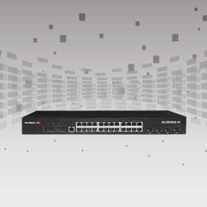 Surveillance Networks