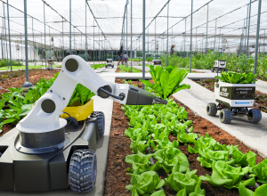 Embedded Wireless for IoT, Smart Agriculture